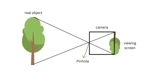 A picture of a tree with lines coming our of the top and bottom of the tree. These pass through a box with a pinhole in and appear on the other side crossed over, with the tree appearing to be upside down.