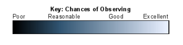 Visibility Scale in Go Observing 